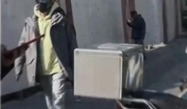 娱乐圈爆料熊猫,熊猫明星的幕后故事大揭秘